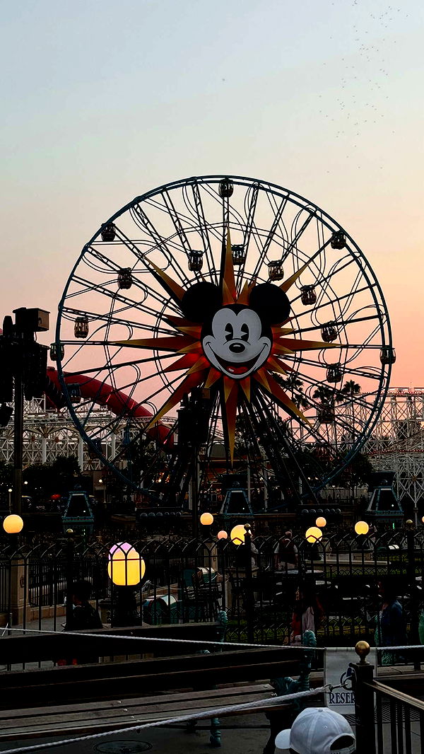 chloerosenbaum image ~ Altpins