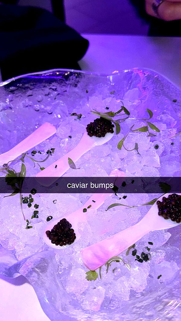 chloerosenbaum image ~ Altpins