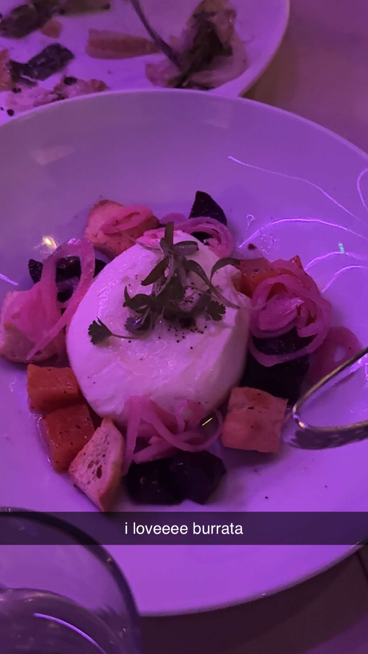 chloerosenbaum snapchat image archive image