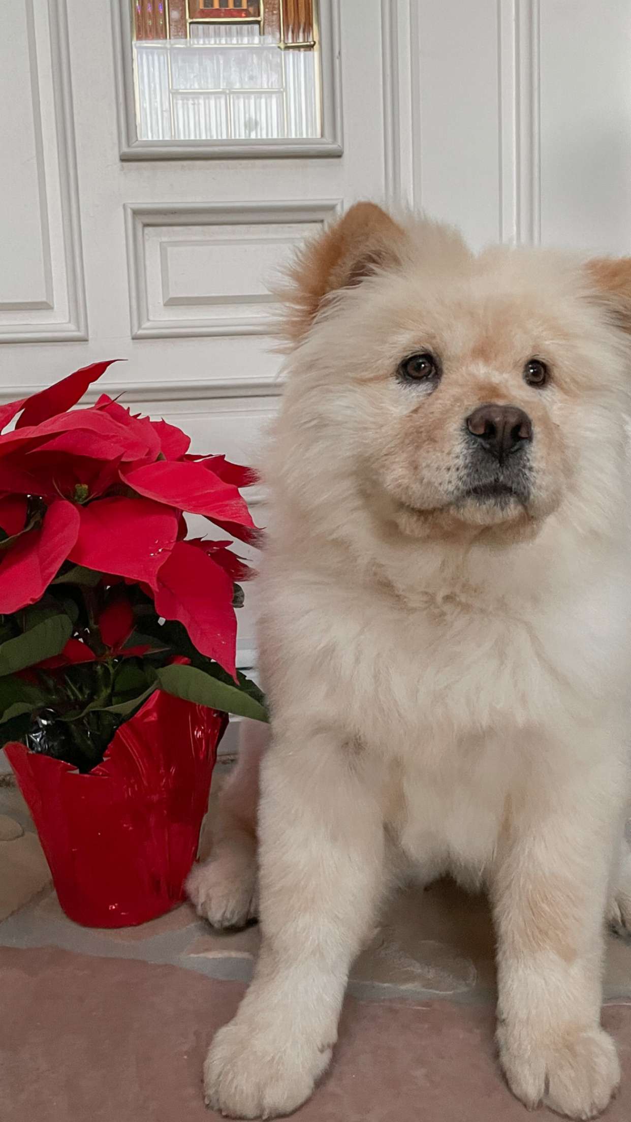 chloerosenbaum snapchat image archive image