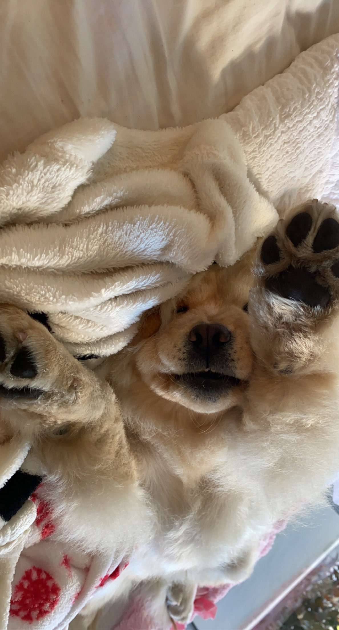 chloerosenbaum snapchat image archive image