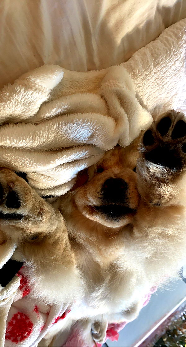 chloerosenbaum image ~ Altpins