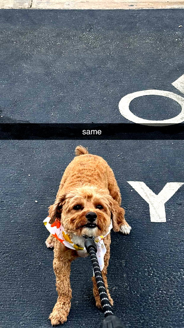 ciaoxxw snapchat image archive image