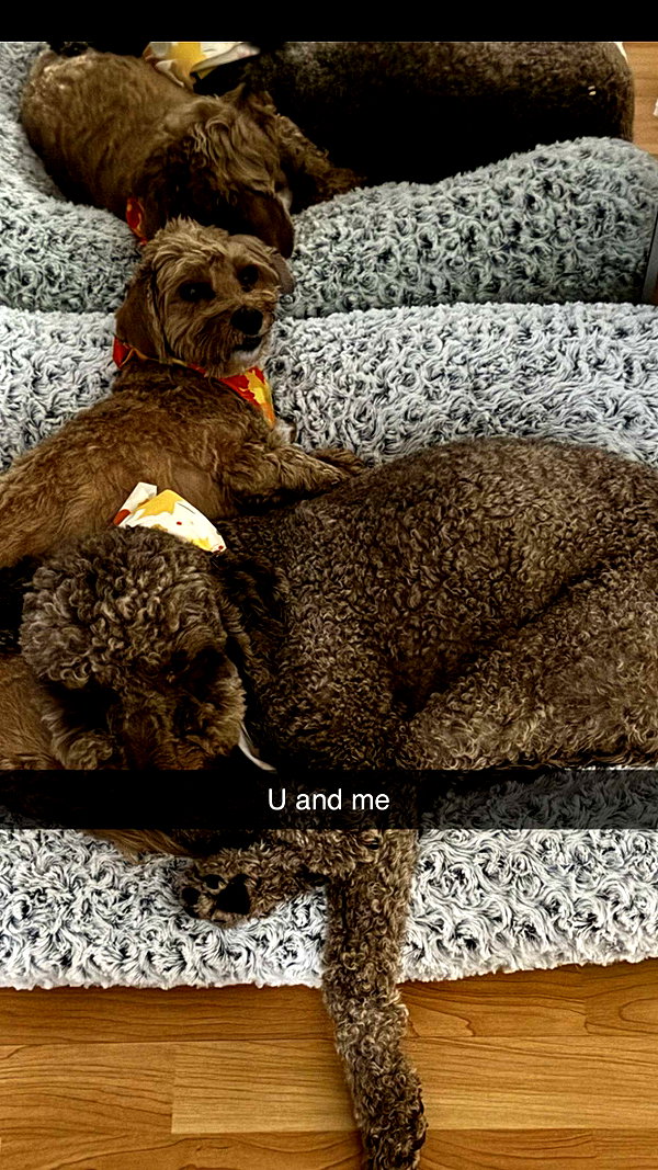 ciaoxxw snapchat image archive image