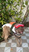 ciaoxxw Altpins Profile Picture