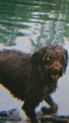 ciaoxxw Altpins Profile Picture