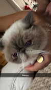 ciaoxxw Altpins Profile Picture