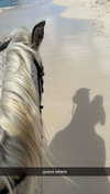 ciaoxxw Altpins Profile Picture