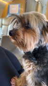 ciaoxxw Altpins Profile Picture