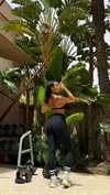 ciaoxxw Altpins Profile Picture