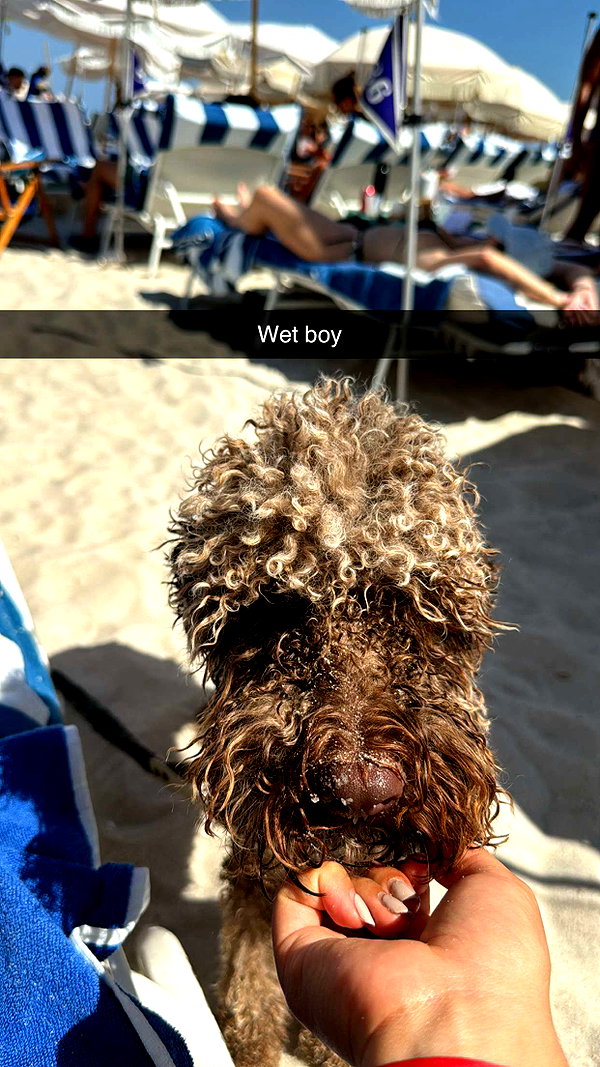 ciaoxxw snapchat image archive image