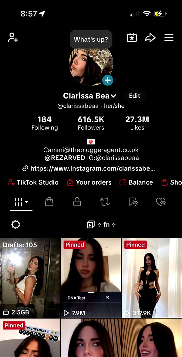 clarissabeaa snapchat image archive image