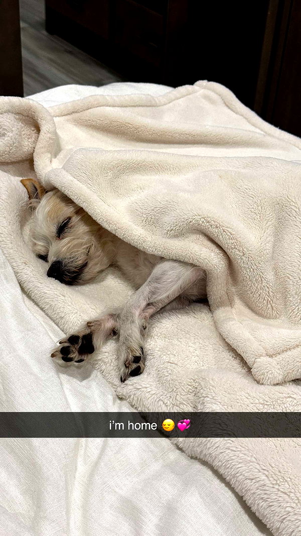 corinnakopf snapchat image archive image