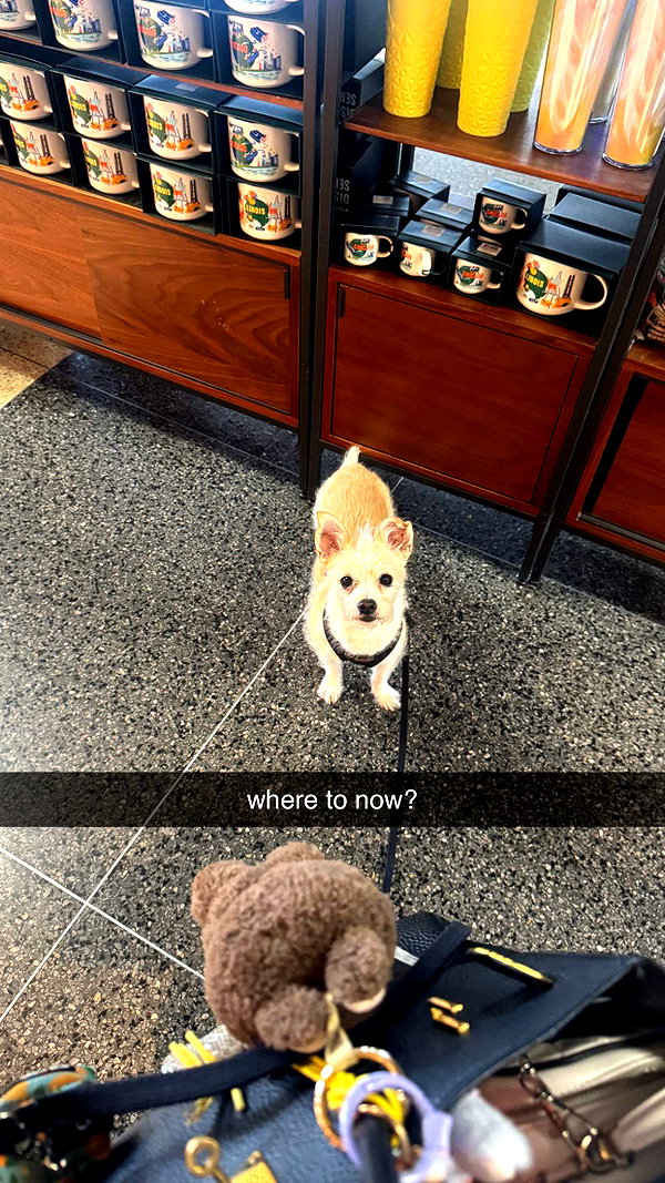 corinnakopf snapchat image archive image