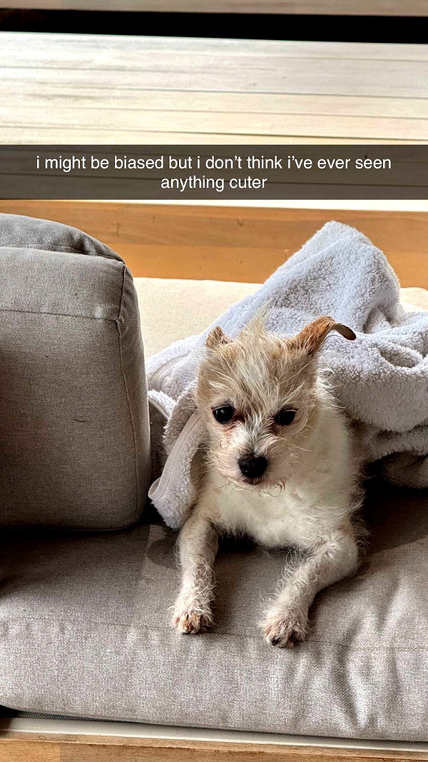 corinnakopf snapchat image archive image