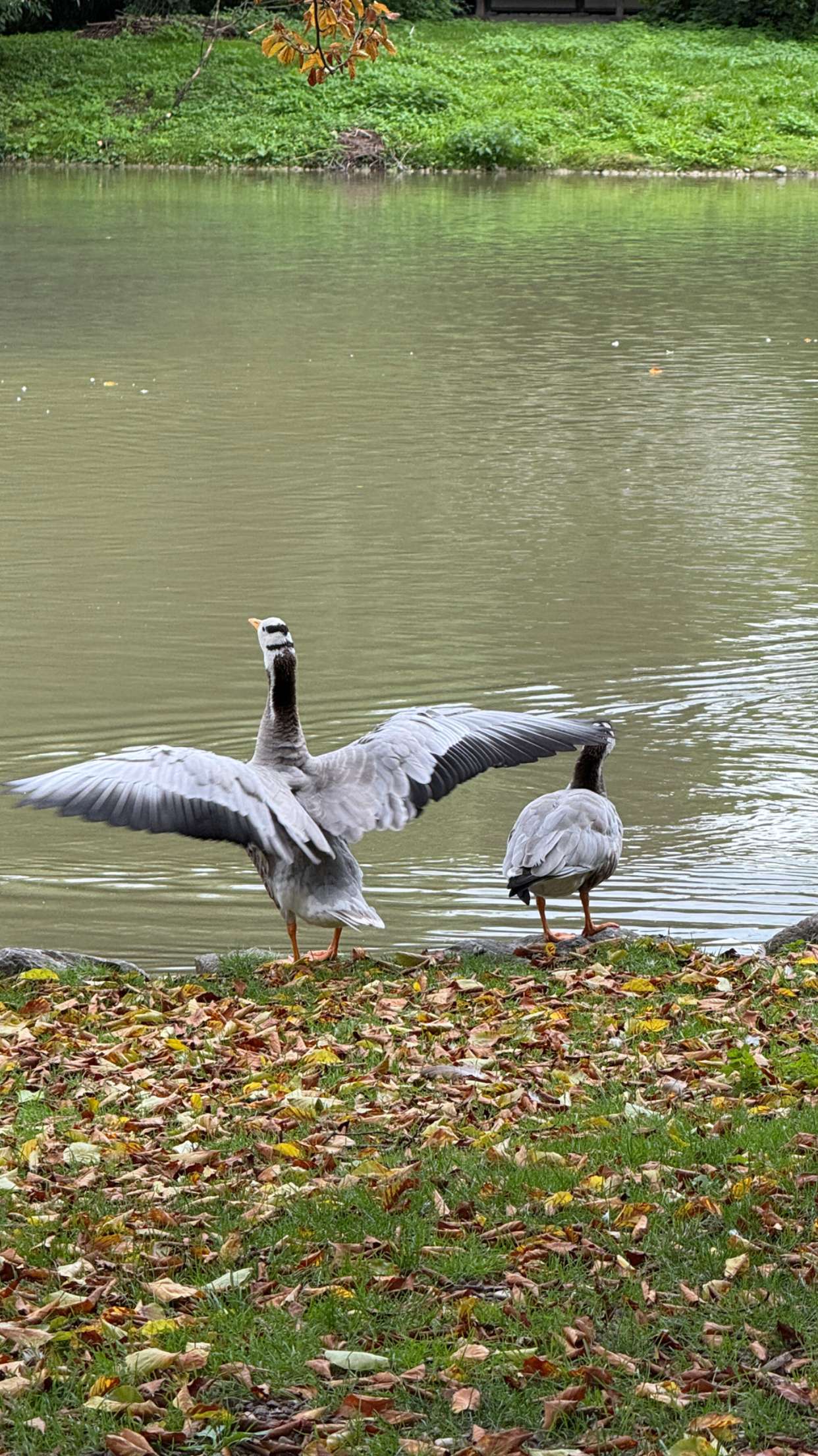 corinnakopf snapchat image archive image