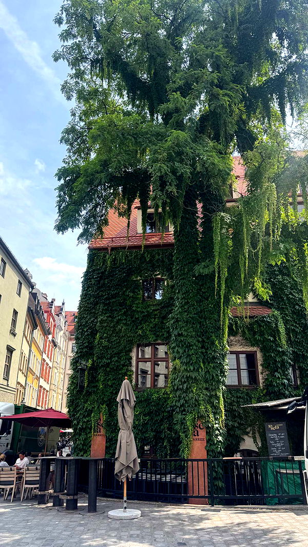 corinnakopf image ~ Altpins