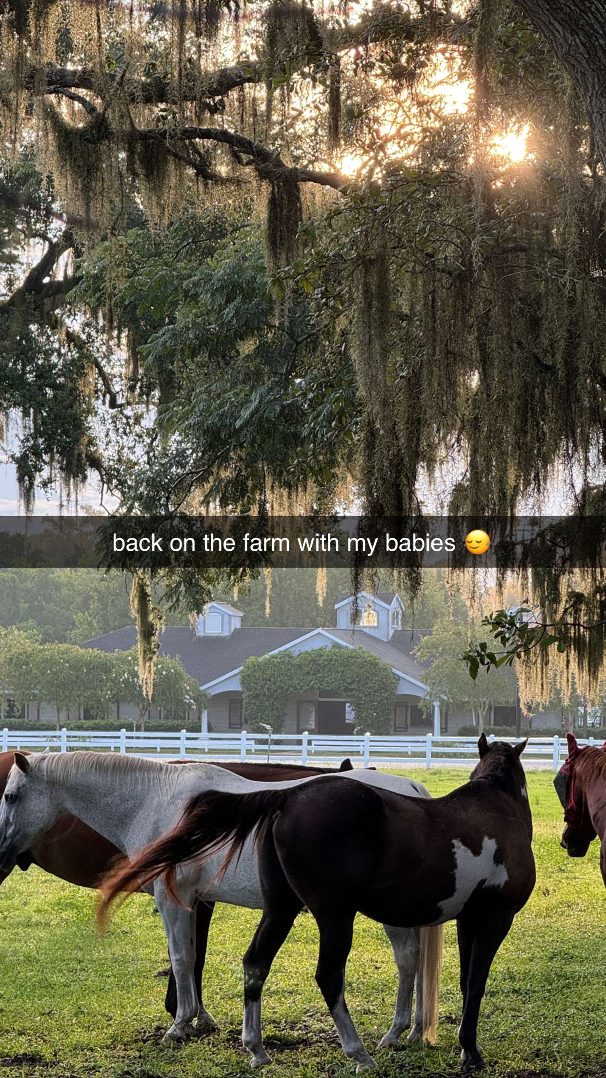 corinnakopf snapchat image archive image