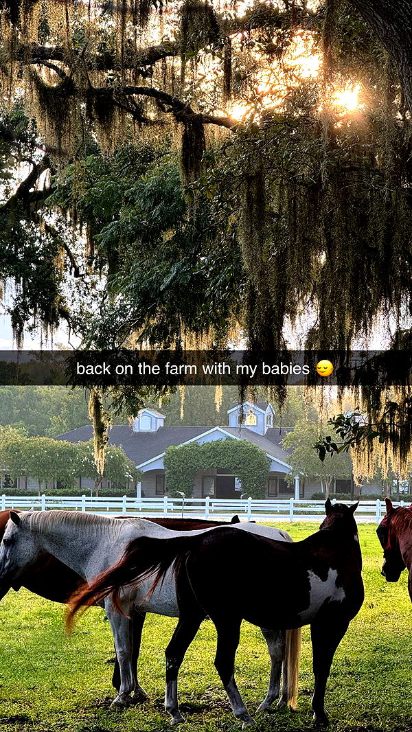 corinnakopf image ~ Altpins