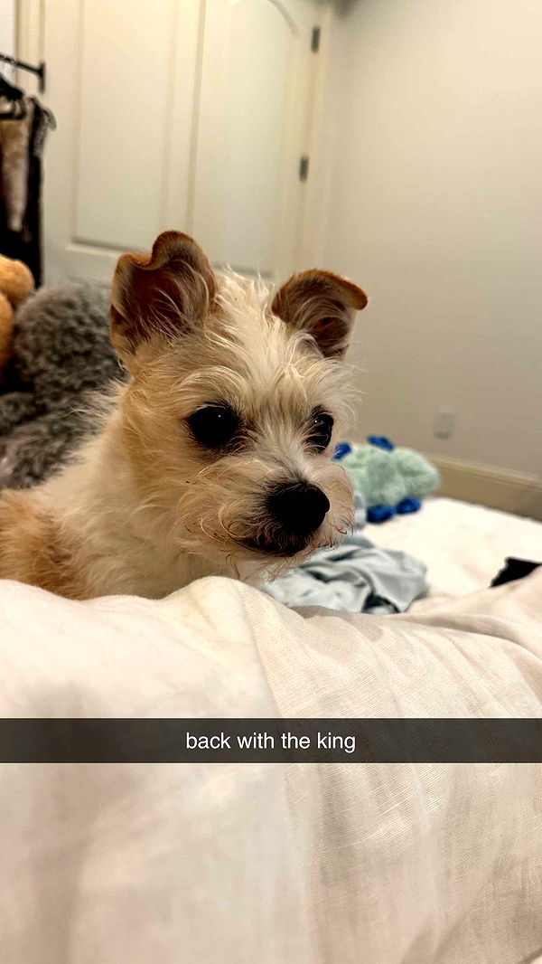 corinnakopf image ~ Altpins