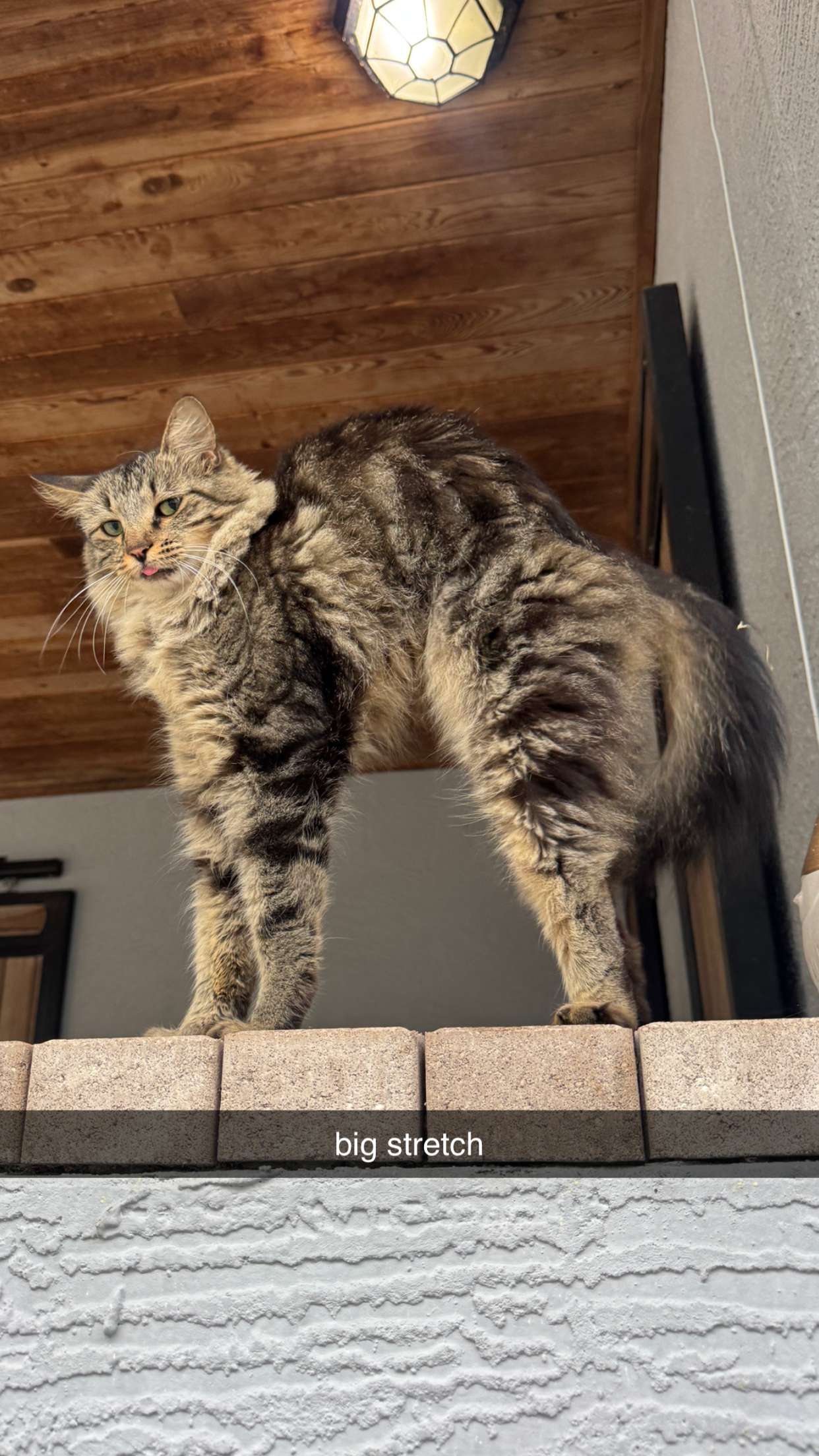 corinnakopf snapchat image archive image