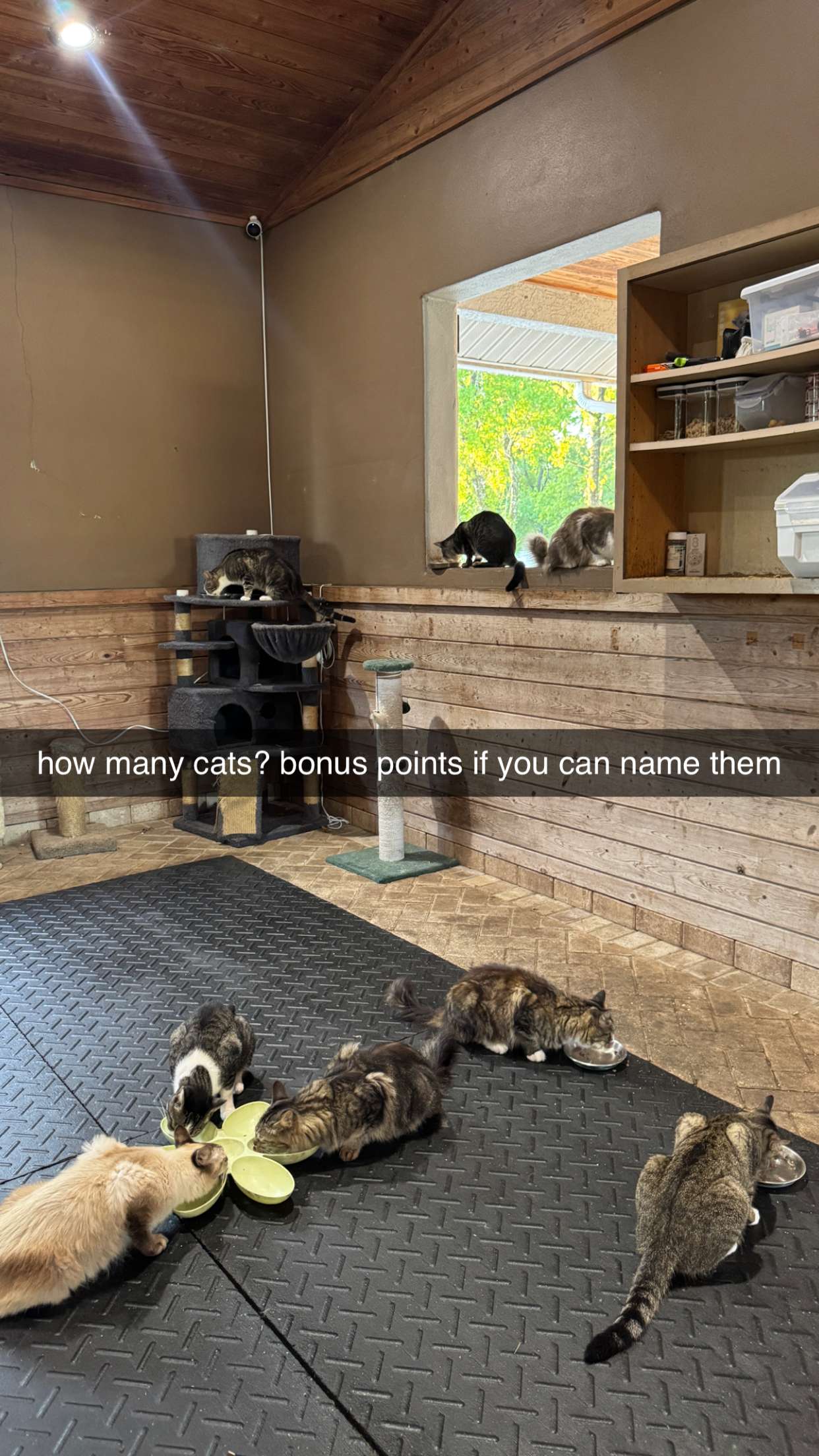 corinnakopf snapchat image archive image