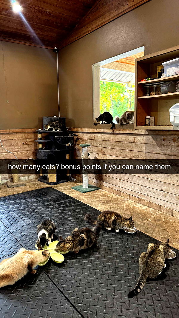 corinnakopf image ~ Altpins