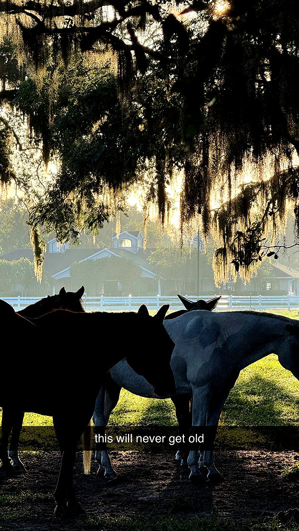 corinnakopf image ~ Altpins