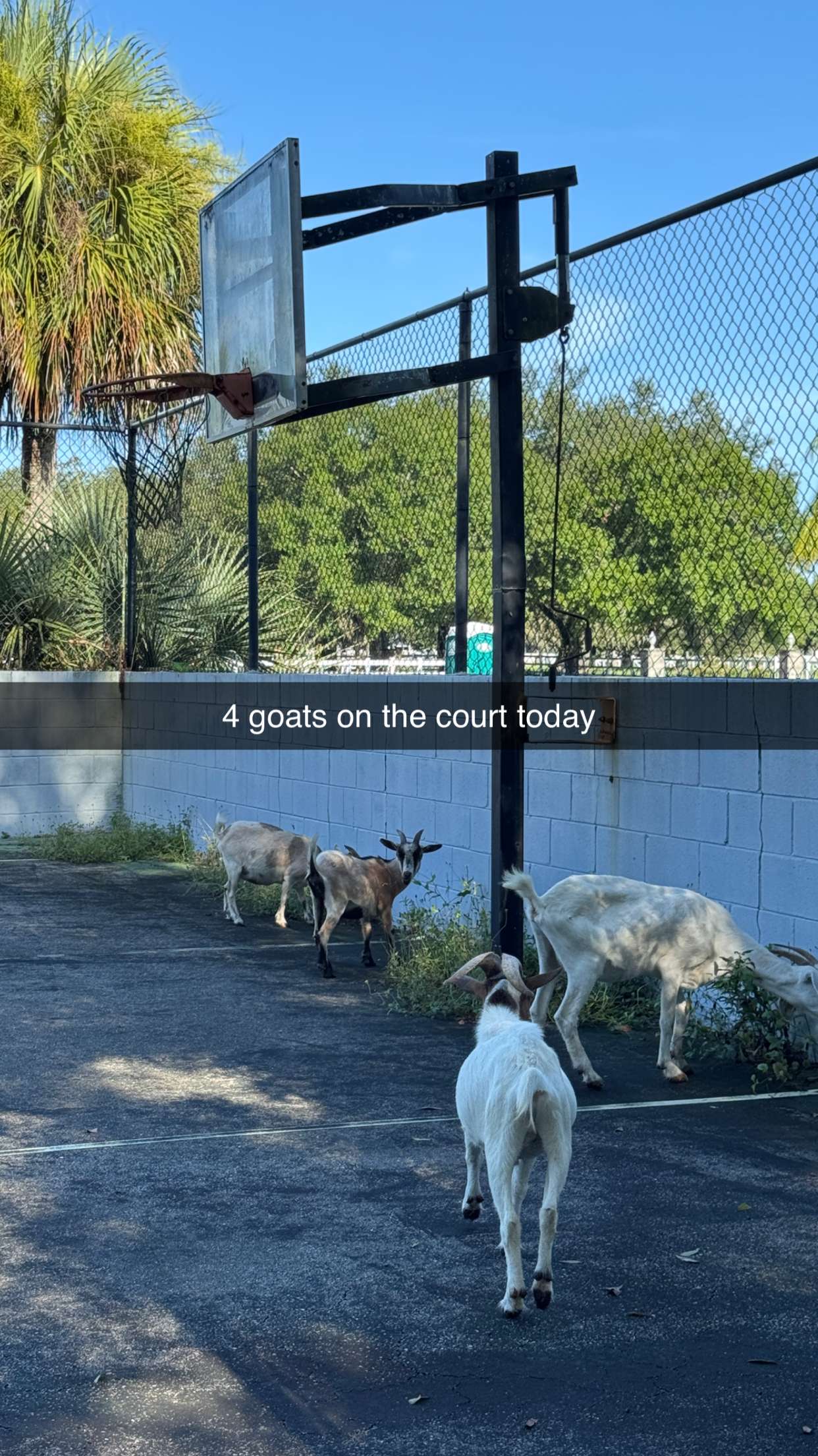 corinnakopf snapchat image archive image