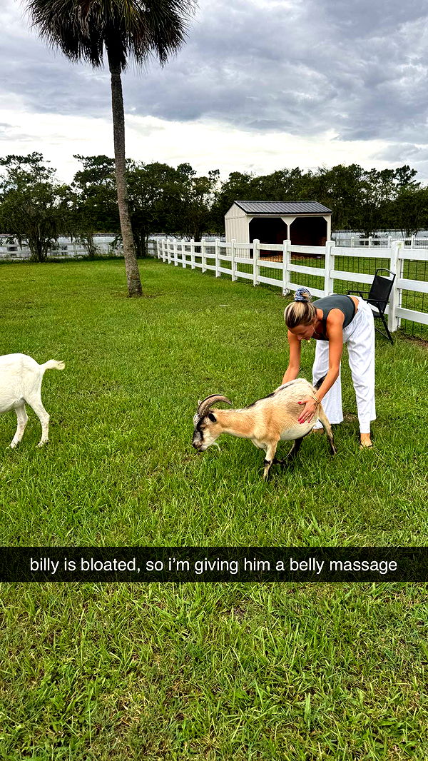 corinnakopf image ~ Altpins