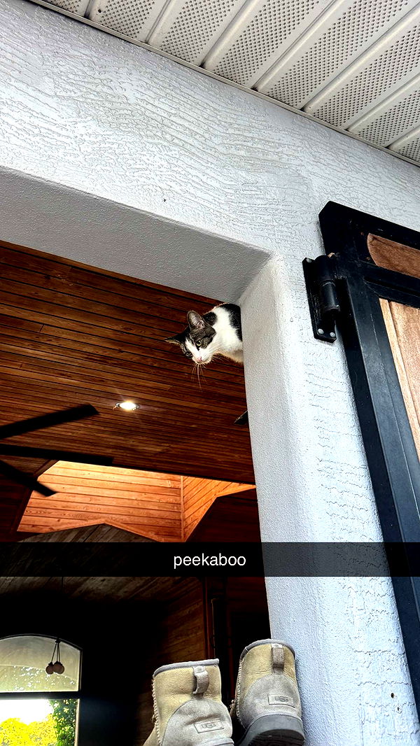 corinnakopf image ~ Altpins