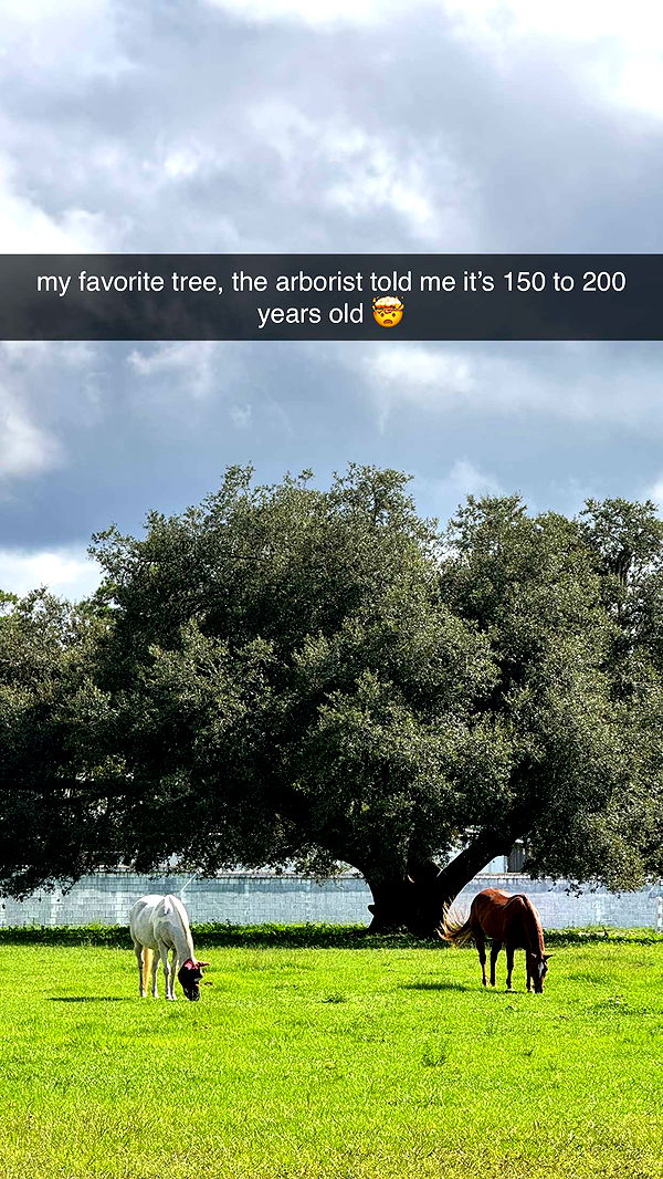 corinnakopf image ~ Altpins