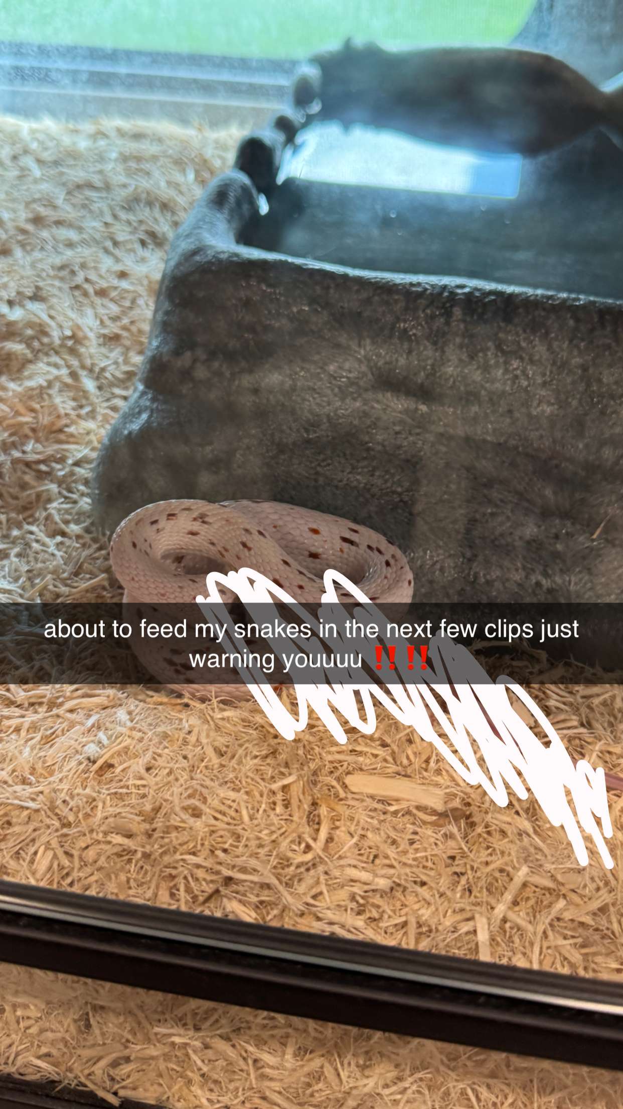 corinnakopf snapchat image archive image