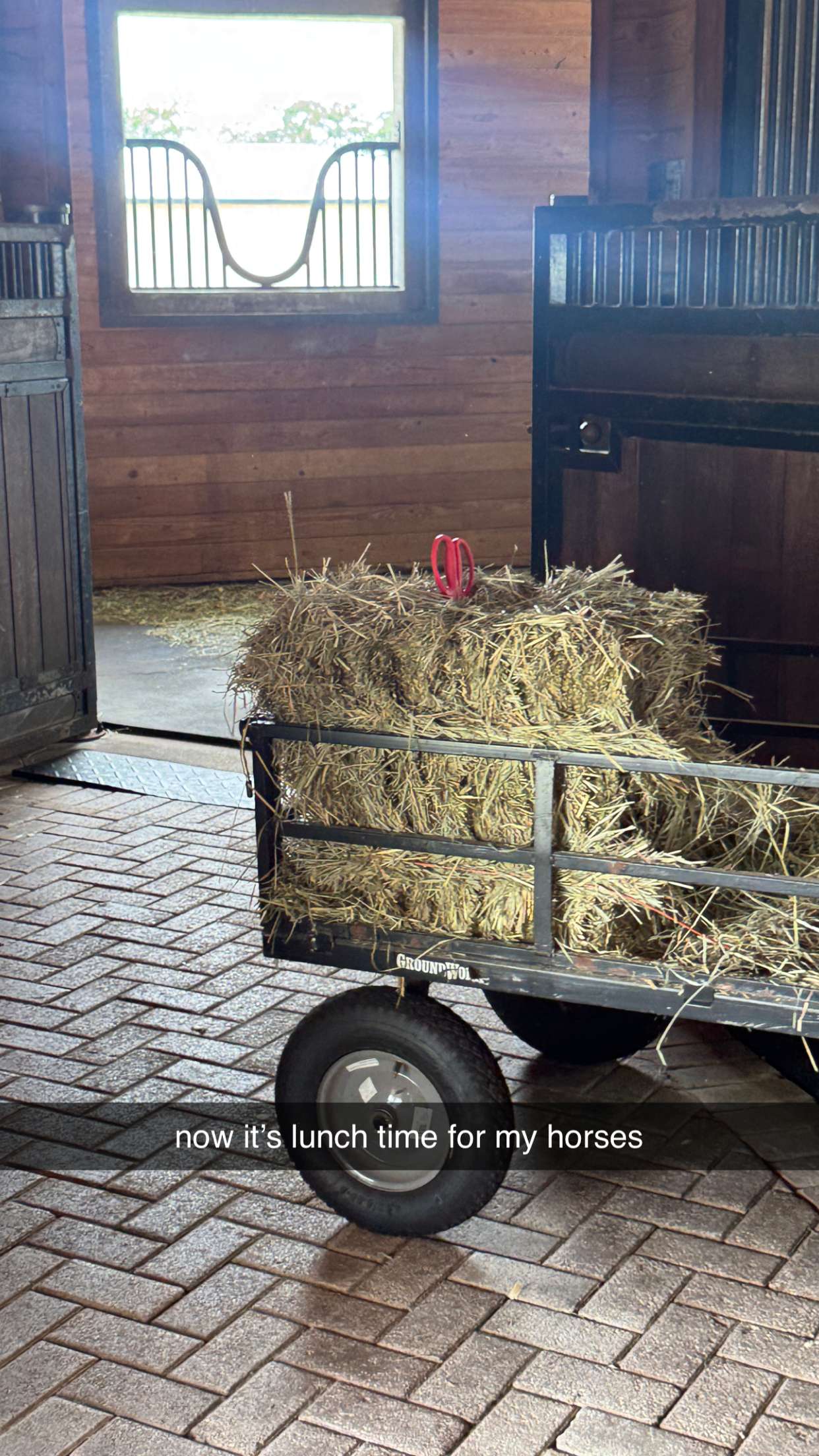 corinnakopf snapchat image archive image