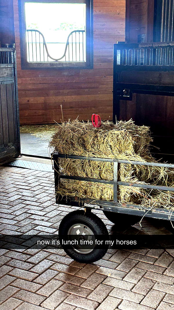 corinnakopf image ~ Altpins