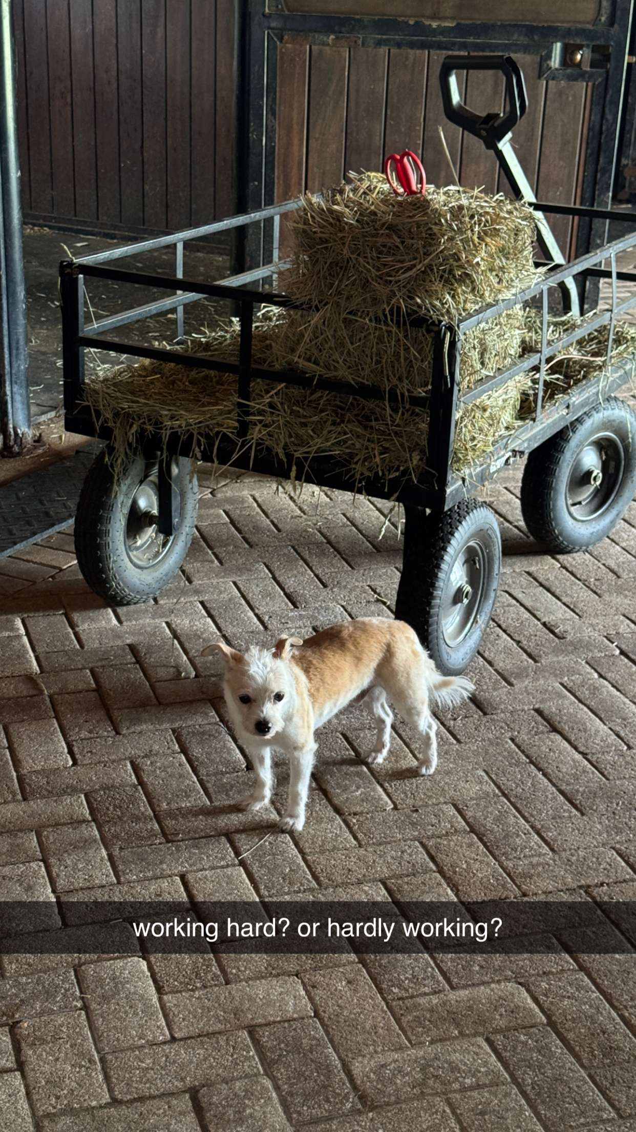 corinnakopf snapchat image archive image