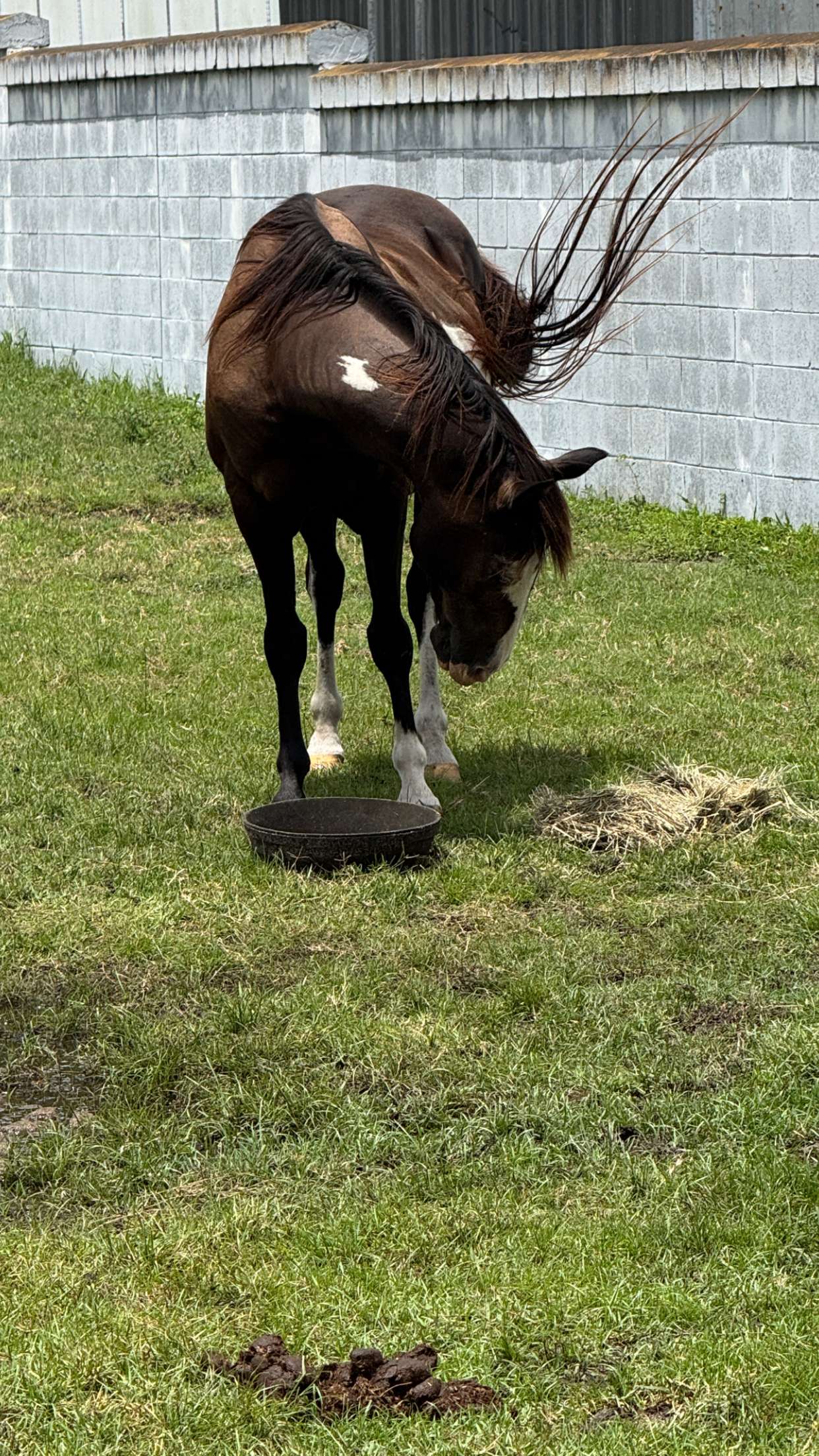 corinnakopf snapchat image archive image