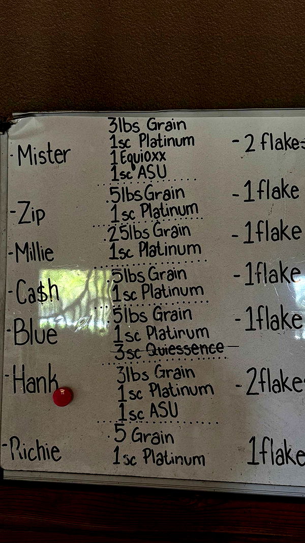 corinnakopf image ~ Altpins