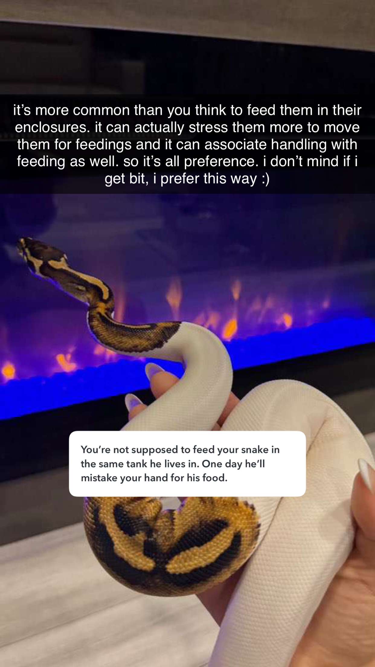 corinnakopf snapchat image archive image