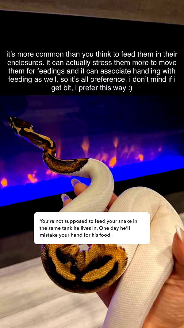 corinnakopf image ~ Altpins