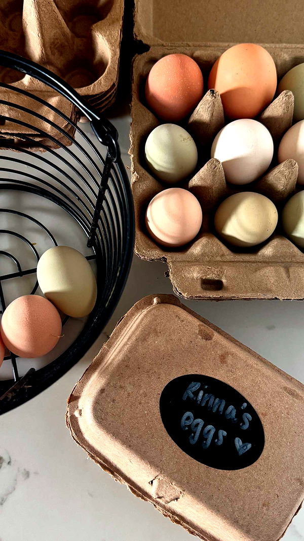 corinnakopf image ~ Altpins