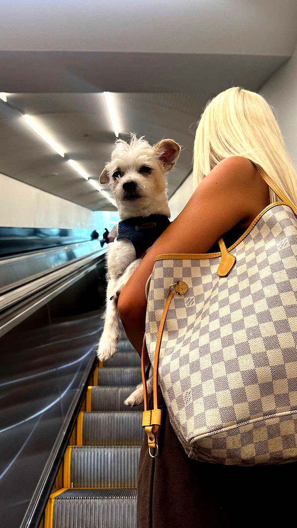 corinnakopf image ~ Altpins