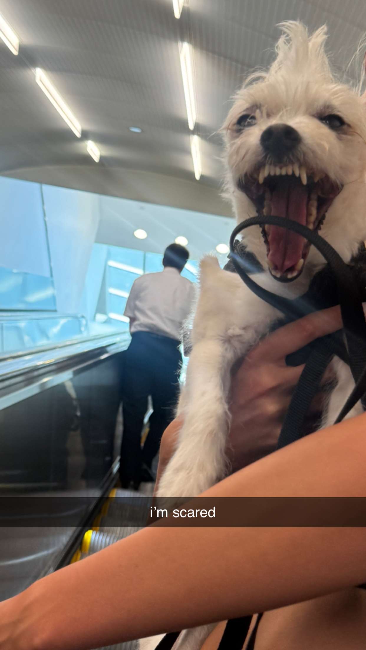 corinnakopf snapchat image archive image