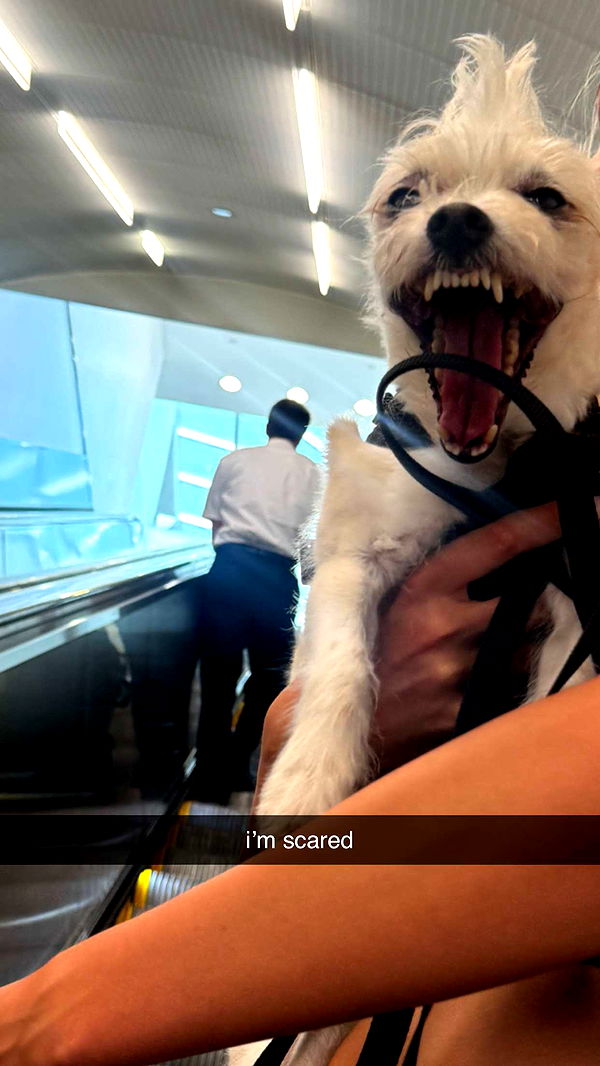 corinnakopf image ~ Altpins