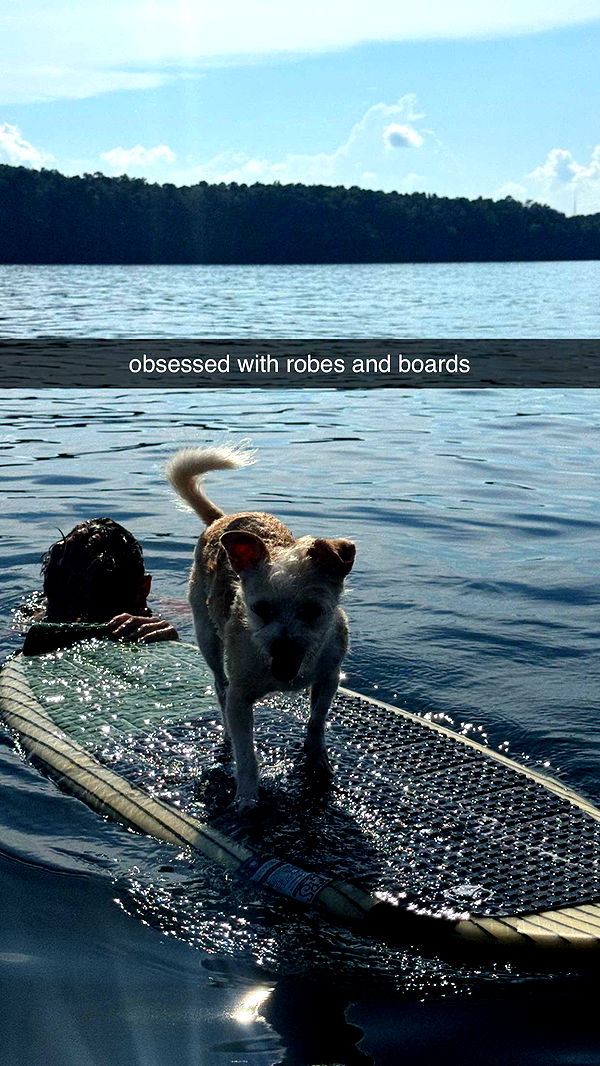 corinnakopf image ~ Altpins