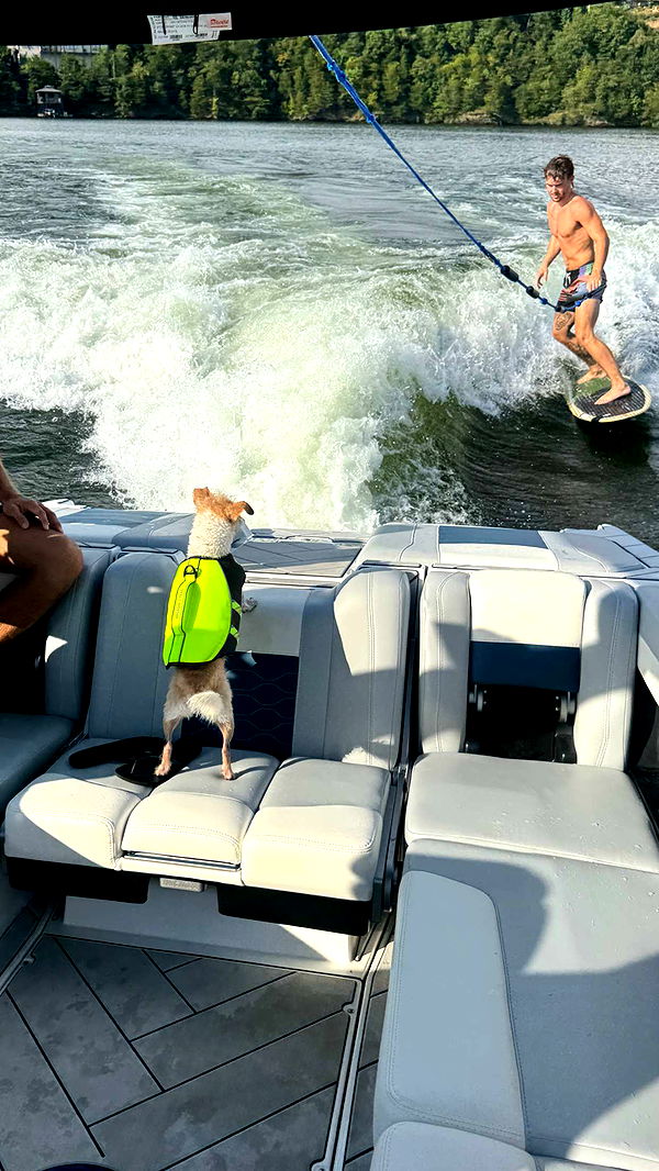 corinnakopf image ~ Altpins