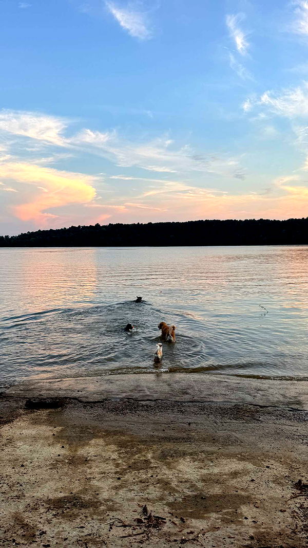 corinnakopf image ~ Altpins