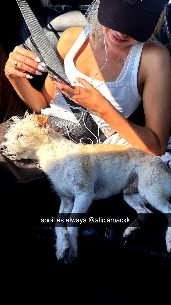 corinnakopf image ~ Altpins