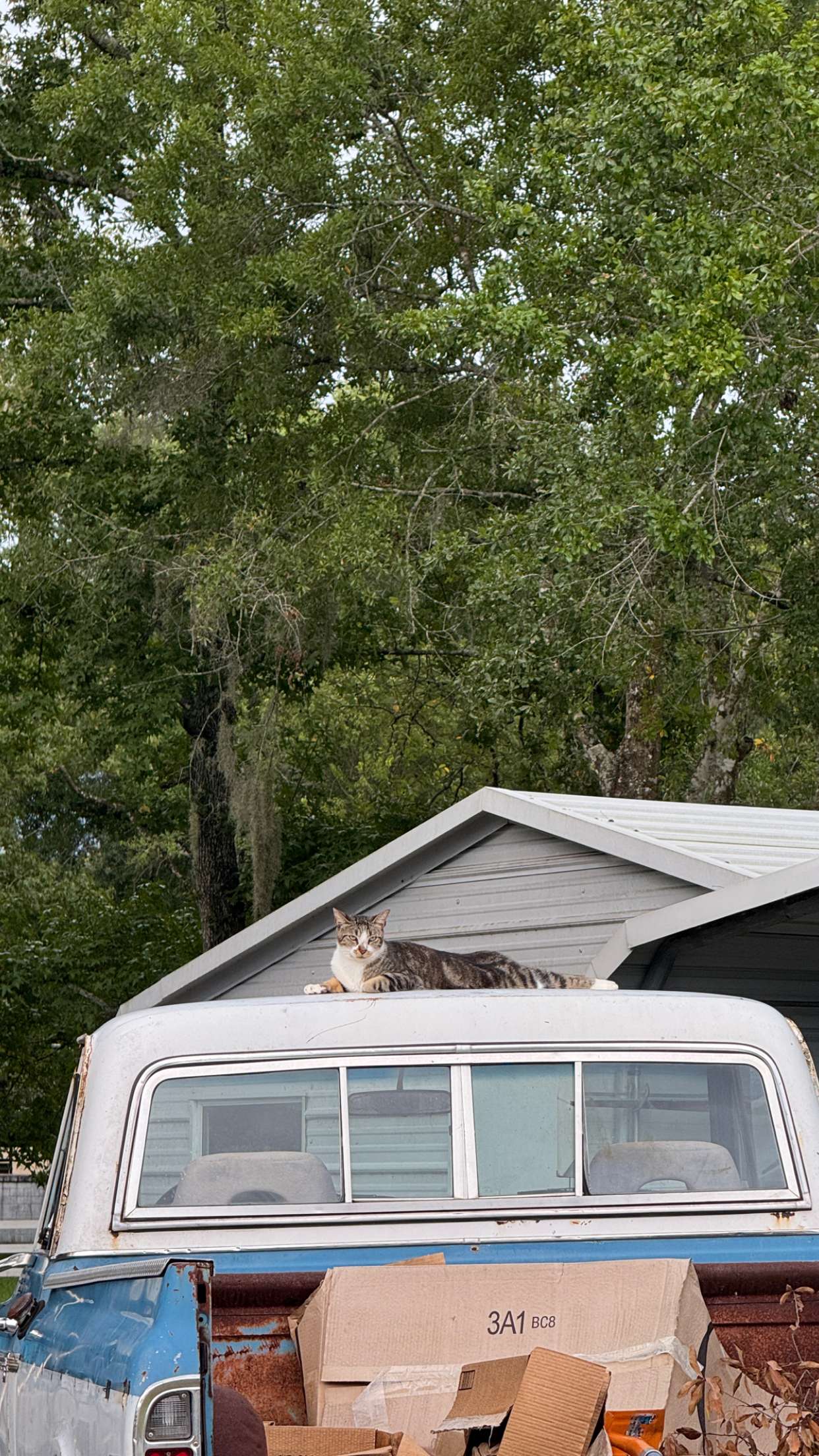 corinnakopf snapchat image archive image