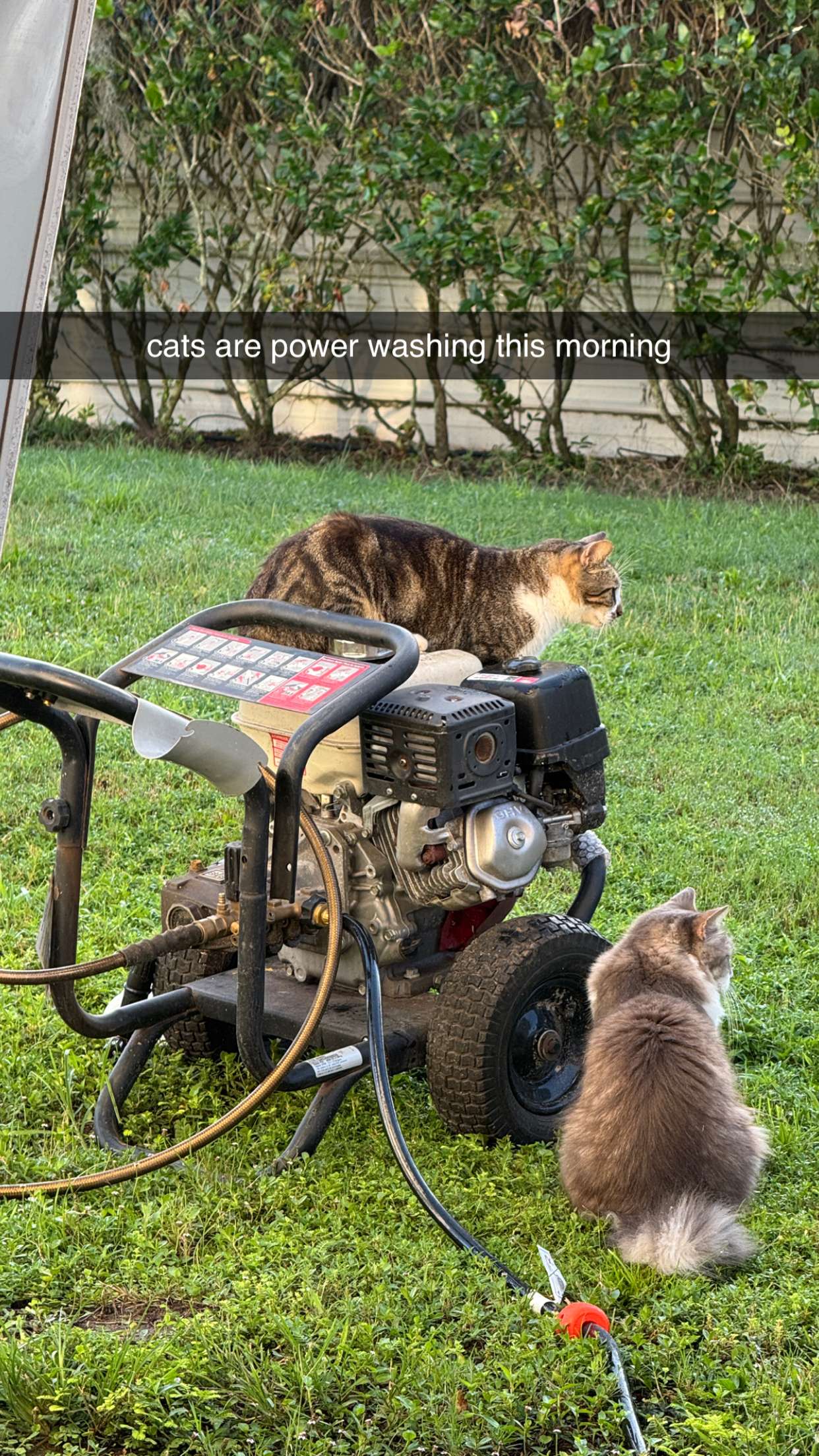 corinnakopf snapchat image archive image